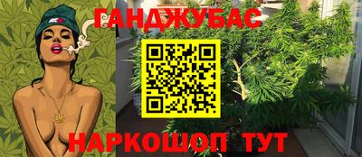 амф Заволжье